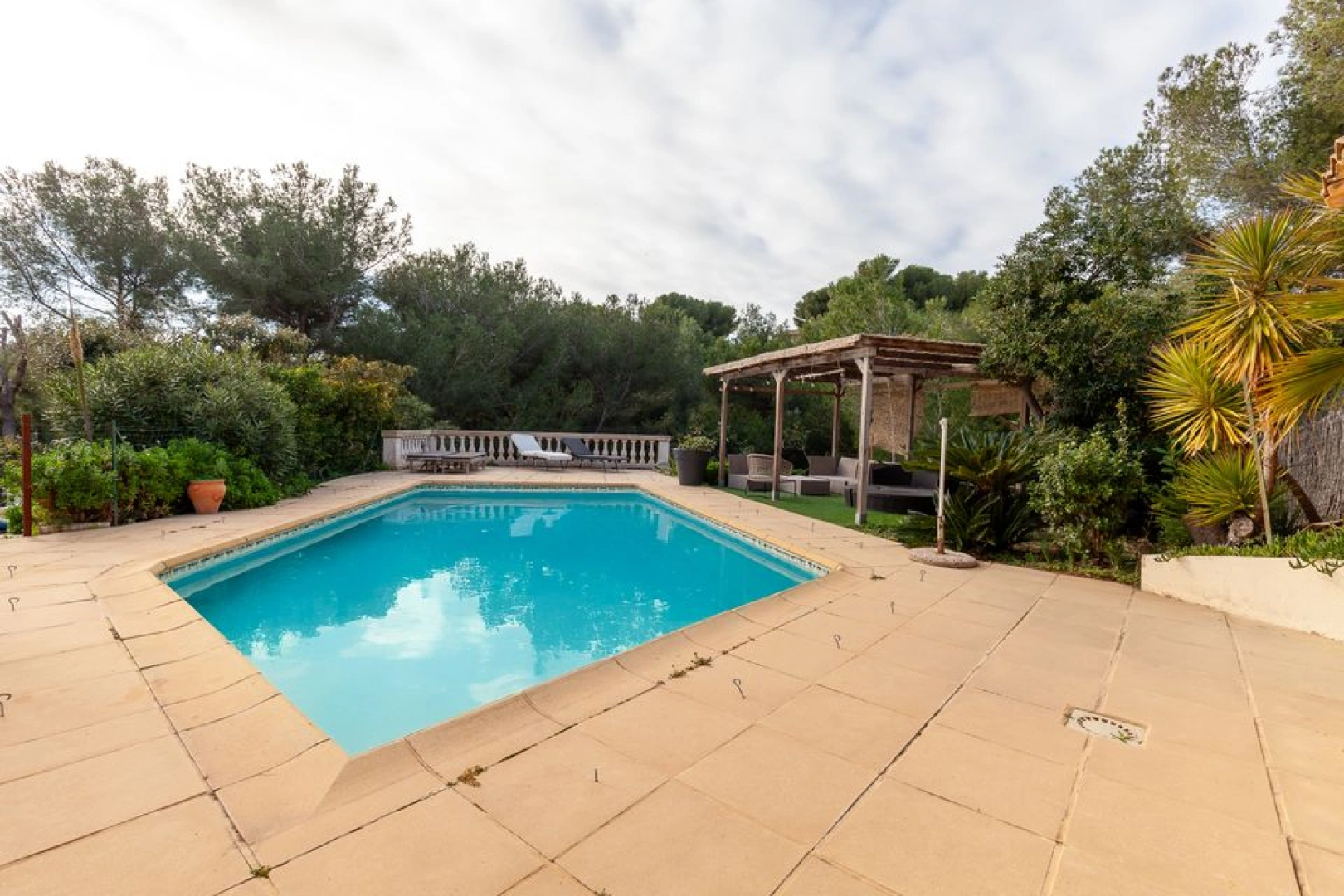 photo_2c9817cae0a73a81068ed0d84eb8cd09