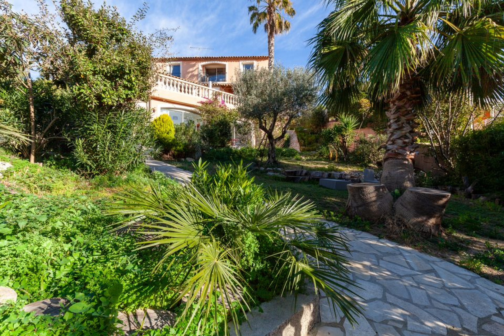 photo_66a4915b0978123cd849738f4fd169e8